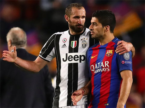 Luis Suarez đã xin lỗi Chiellini vụ cẩu xực nhằm dọn đường đến Juve