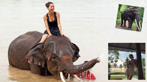Con gái cựu vô địch Grand Slam bị chỉ trích vì khỏa thân nghệ thuật với voi