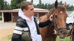 Griezmann mát tay với đua ngựa