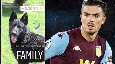 Thú chơi mới tại Premier League: Giữ nhà bằng chó dữ