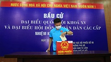 Đội tuyển Việt Nam đi bầu cử đại biểu Quốc hội khoá XV