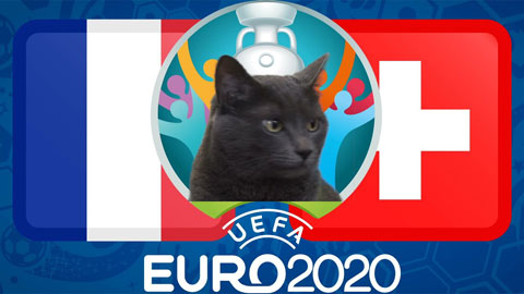 Chuyện lạ mùa EURO: Mèo tiên tri 'mất thiêng'  ở vòng 1/8