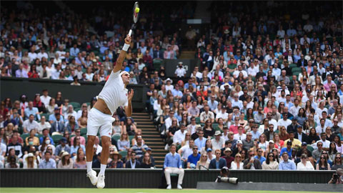 Federer cùng Djokovic đã có tổng cộng 13 chức vô địch Wimbledon