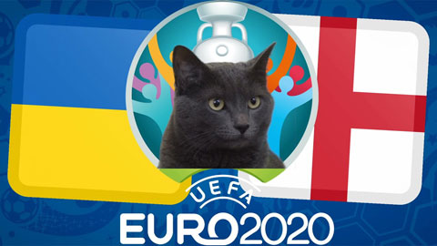 Chuyện lạ mùa EURO: Mèo tiên tri  'mất uy tín'
