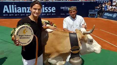 Roger Federer từng được tặng bò sữa tại giải đấu ở quê nhà Thụy Sỹ