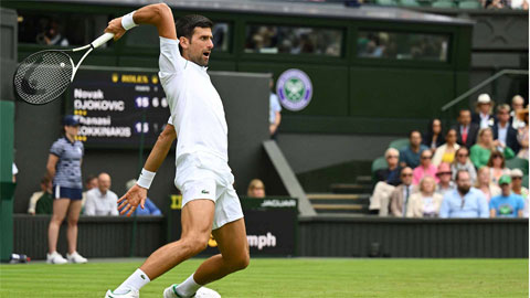 Djokovic thắng trận thứ 23 liên tiếp ở Wimbledon