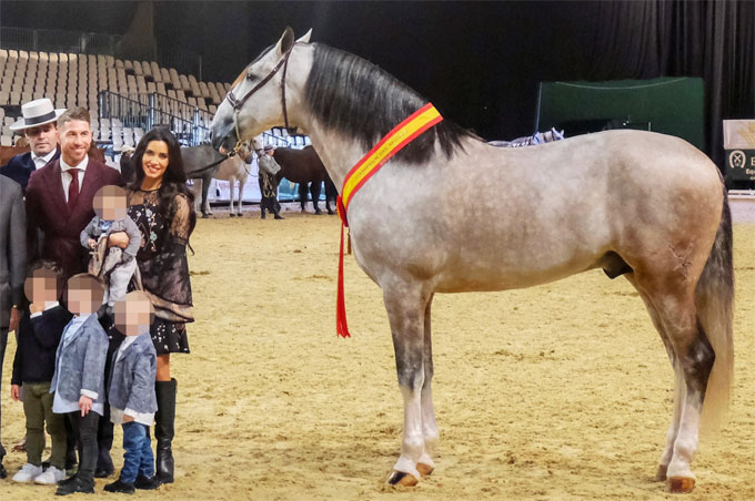 Vợ chồng Sergio Ramos vừa lời gấp đôi khi sang tay trang trại nuôi ngựa đua SR4