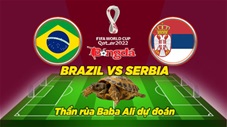Thần rùa dự đoán 24/11: Brazil vs Serbia