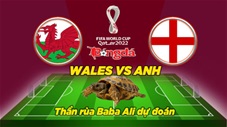 Thần rùa dự đoán 29/11: Xứ Wales vs Anh