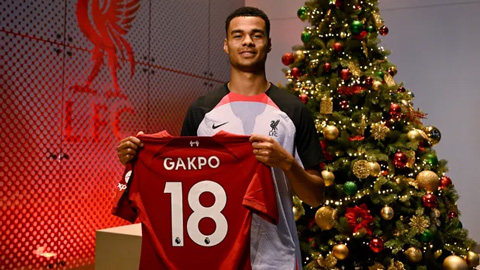 CHÍNH THỨC: Liverpool chiêu mộ thành công Cody Gakpo giá 37 triệu bảng