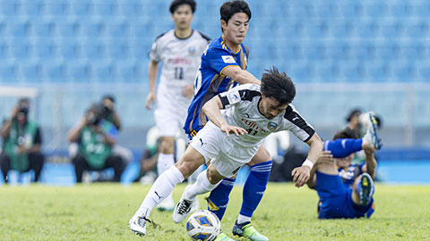 Trận cầu vàng: Consadole Sapporo và  Albirex Niigata thắng kèo châu Á