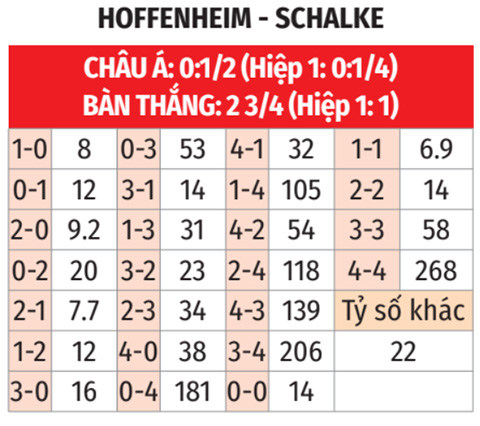 Hoffenheim vs Schalke 