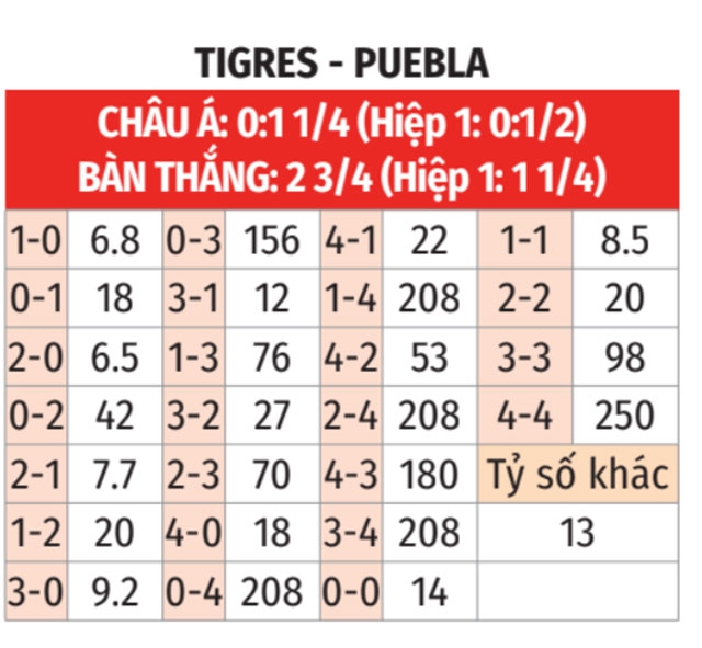 Tigres vs Puebla 