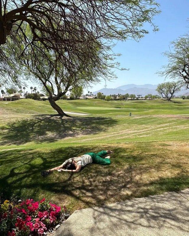 Các fan khen ngợi ý tưởng nghệ thuật của bức ảnh Holly nằm úp trên bãi cỏ