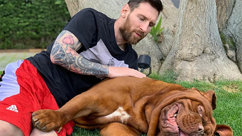 Tiết lộ bất ngờ về ‘con bò tót’ của Messi