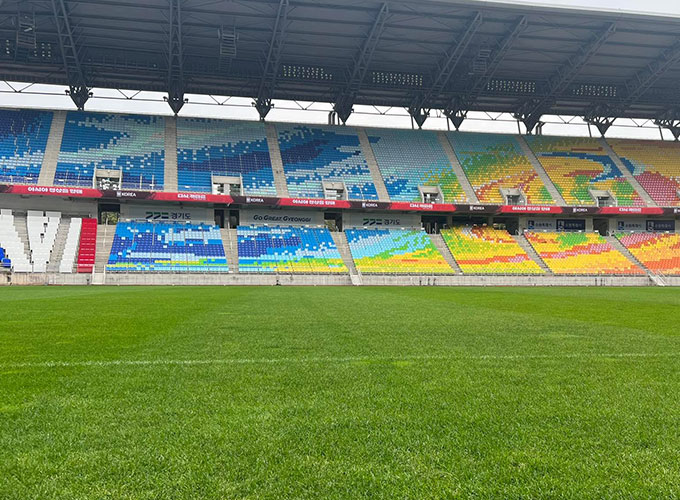 Sân Suwon World Cup có sức chứa 44.000 nghìn chỗ ngồi, là nơi chuyên dành để tổ chức các trận bóng đá. Sân không có đường piste, 4 mặt khán đài với các hàng ghế đầy màu sắc trông rất bắt mắt. Theo ghi nhận của Bongdaplus, mặt cỏ sân Suwon có chất lượng cực tốt. Sân bằng phẳng, xanh tốt, có được cắt tỉa cẩn thận.