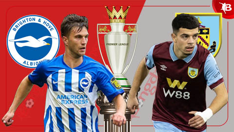 Tiểu sử và sự phát triển của CLB Brighton & Hove Albion 1 Tiểu sử và sự phát triển của CLB Brighton & Hove Albion