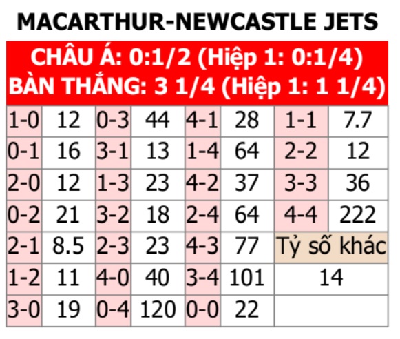 Macarthur vs Newcastle Jets 
