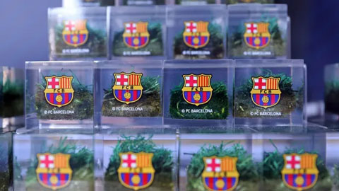 Barca bán... cỏ gây quỹ cải tạo sân Camp Nou