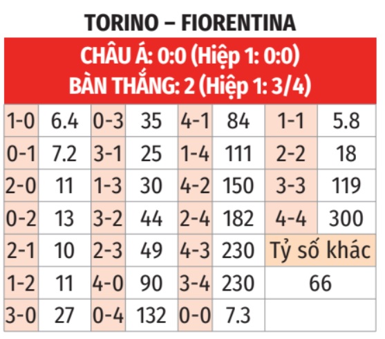 Torino vs Fiorentina 