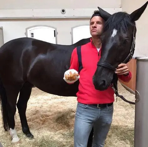 Muller thích thư giãn với chú ngựa Dave