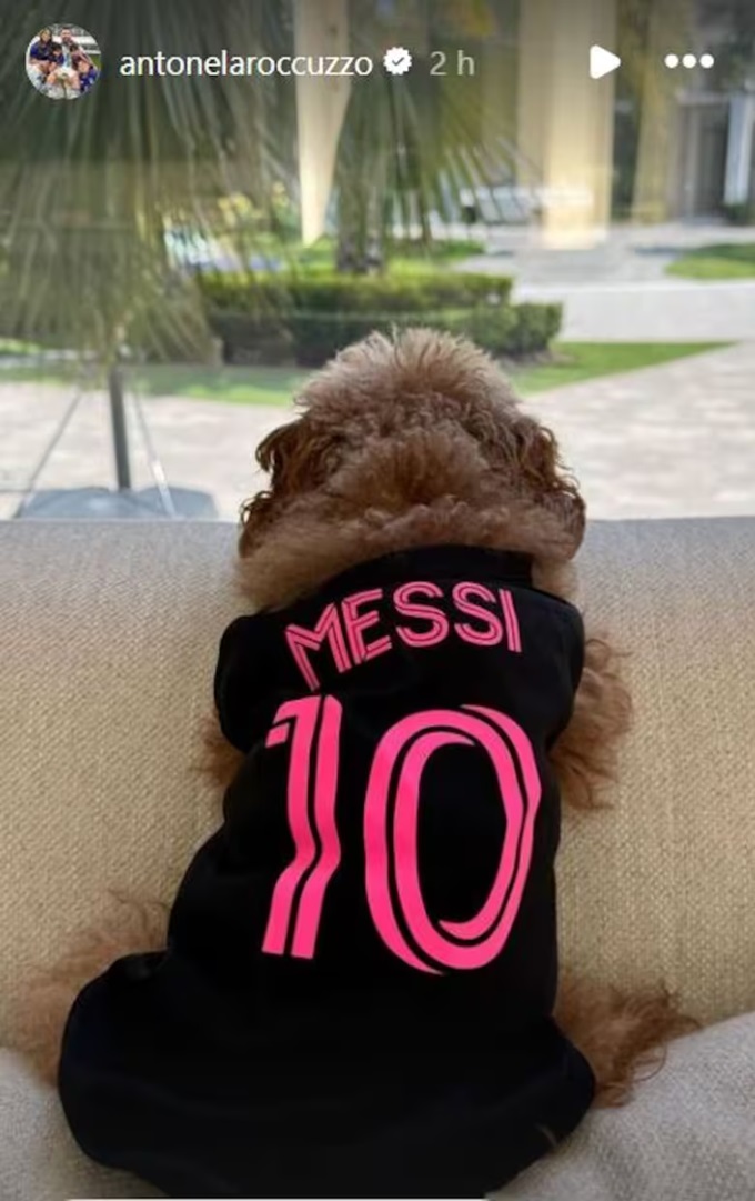 Cún cưng của Roccuzzo được mặc áo đấu Messi