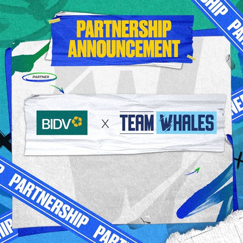 Team Whales vừa công bố hợp tác cùng ngân hàng BIDV