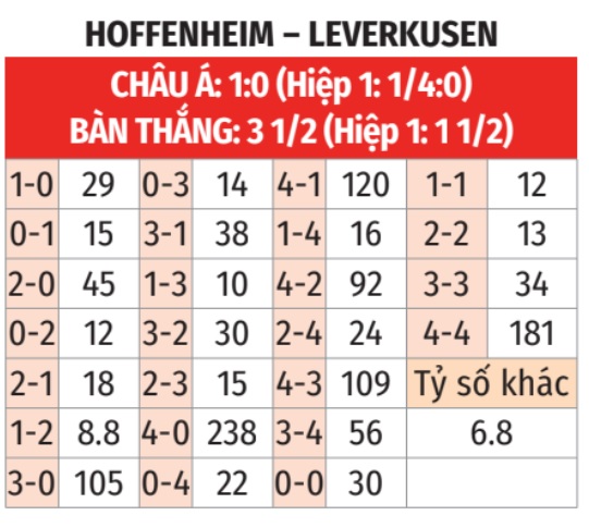 Hoffenheim vs Leverkusen