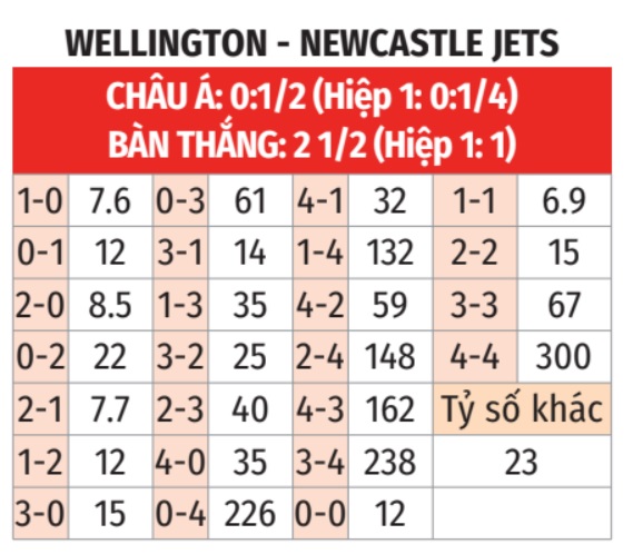 Wellington Phoenix vs Newcastle Jets 