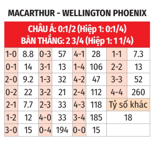 Macarthur vs Wellington Phoenix