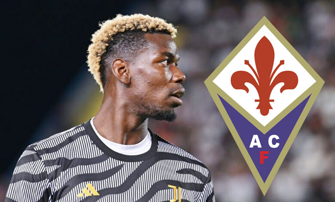 Pogba bị Fiorentina từ chối thu nhận