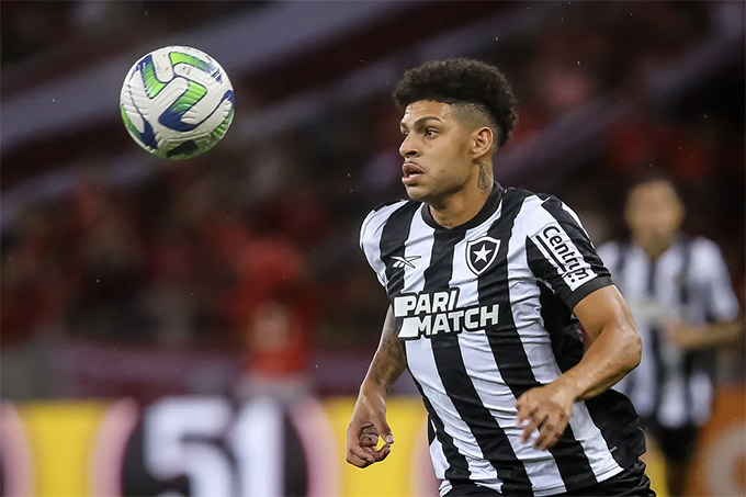 Sau khi tới Marseille, Henrique lại hồi hương để khoác áo đội bóng cũ Botafogo theo dạng cho mượn