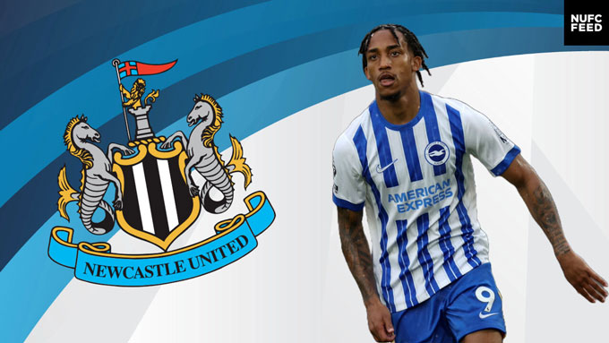 Newcastle theo đuổi Joao Pedro