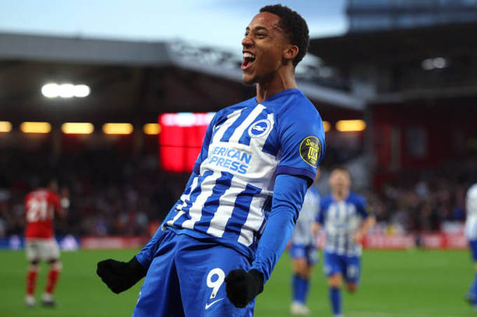 Pedro đã thuộc về Newcastle?