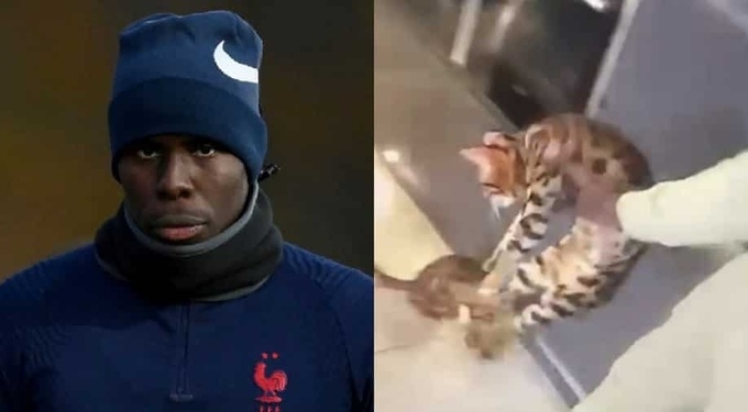 Kurt Zouma từng mất nghiệp vì vụ "đá con mèo" năm 2022 lúc khoác áo West Ham.