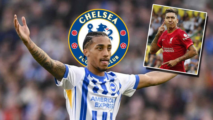 NHM Chelsea hy vọng Pedro có thể trở thành một "Firmino mới"
