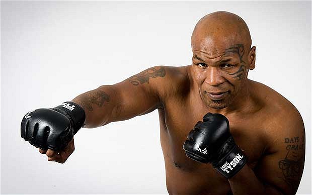 Mike Tyson gặt hái vô khối danh hiệu