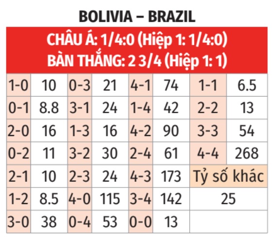 Bolivia vs Brazil 