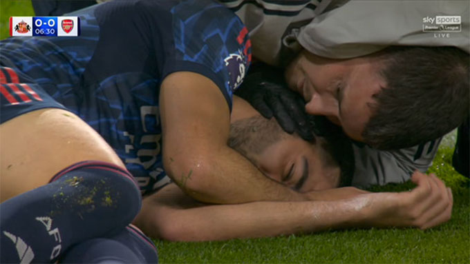 Merino cần sự chăm sóc của các nhân viên y tế