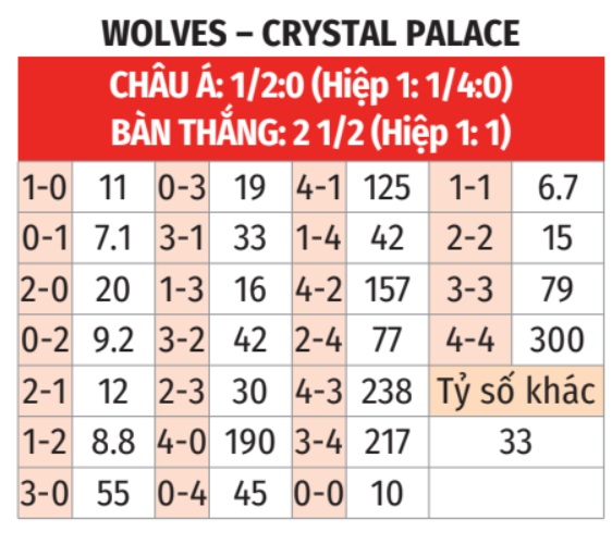 Wolves vs Crystal Palace 