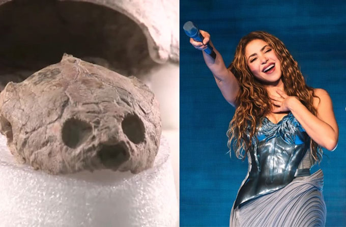 Shakira được đặt tên cho hóa thạch