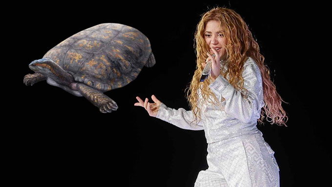 Shakira đón vinh dự lớn lao