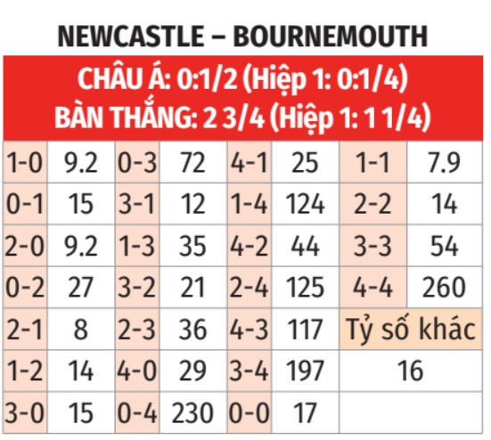  Newcastle vs Bournemouth