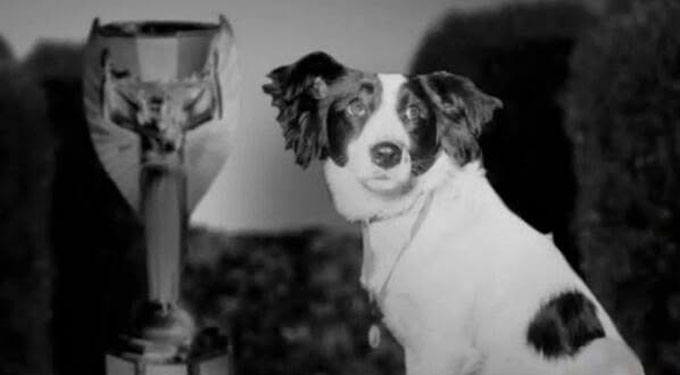 Chú chó Pickles là người hùng tìm ra chiếc cúp bị mất tại Anh trước thềm World Cup 1966