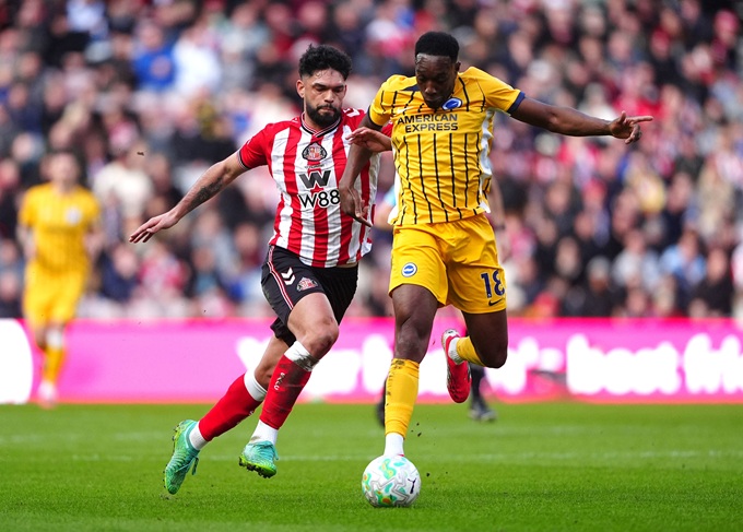 Sunderland nhận thất bại thứ 3 liên tiếp trên sân nhà trước Brighton