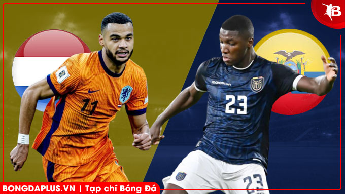 Hà Lan vs Ecuador