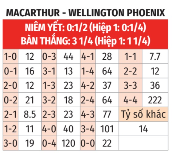 Macarthur vs Wellington Phoenix 