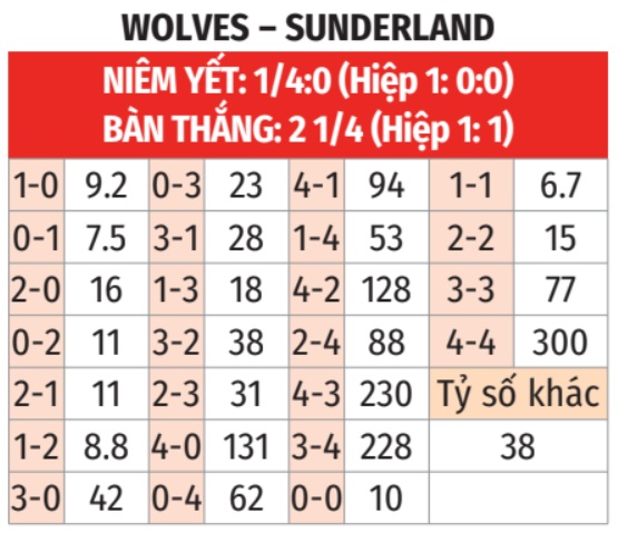 Wolves vs Sunderland