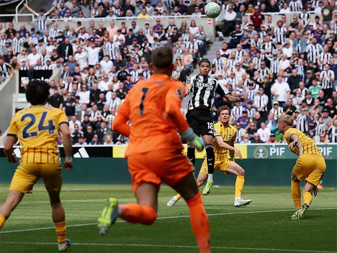 Newcastle đã chấm dứt được chuỗi trận thua liên tiếp