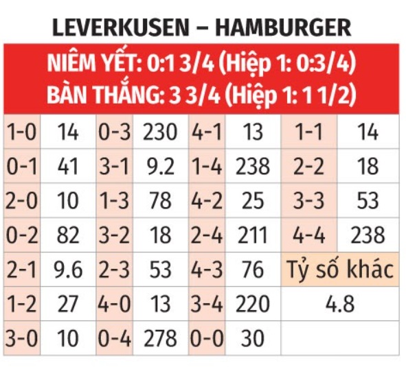 Leverkusen vs Hamburg 